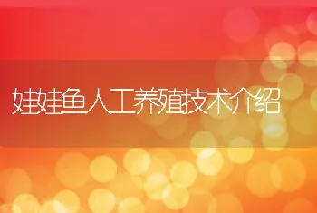 娃娃鱼人工养殖技术介绍