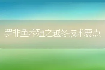 罗非鱼养殖之越冬技术要点