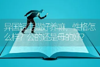 异国短毛猫好养嘛，性格怎么样？公的还是母的好？