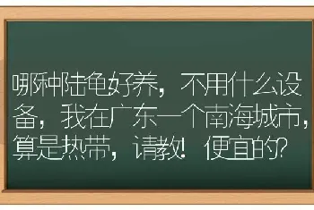 哪种陆龟好养，不用什么设备，我在广东一个南海城市，算是热带，请教!便宜的？