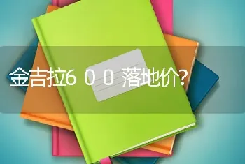 金吉拉600落地价？