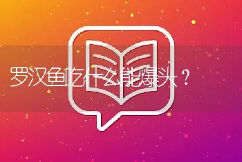 黄化银龙与什么混养？