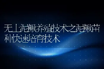 无土泥鳅养殖技术之泥鳅苗种快速培育技术