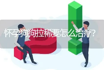 五个月的金毛犬，一般什么都懂了？