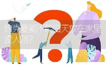 约克夏能不能白天放在家里没人陪？