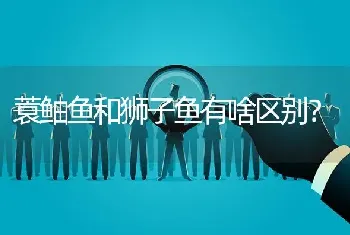 蓑鲉鱼和狮子鱼有啥区别？