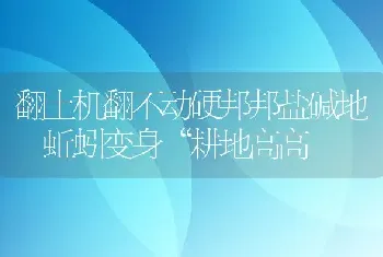 翻土机翻不动硬邦邦盐碱地 蚯蚓变身“耕地高高