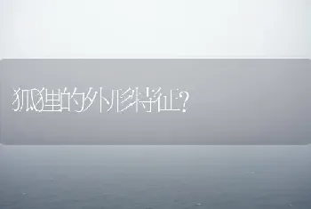 我家狗狗失踪了一天，突然跑回来。但是它却不认人了，我该怎么办？