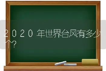 2020年世界台风有多少个？