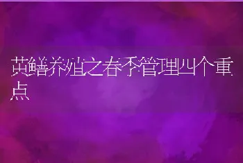 黄鳝养殖之春季管理四个重点