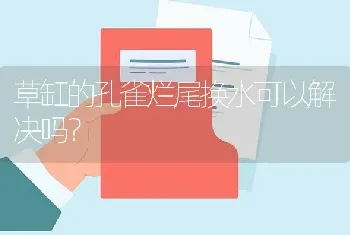 草缸的孔雀烂尾换水可以解决吗？