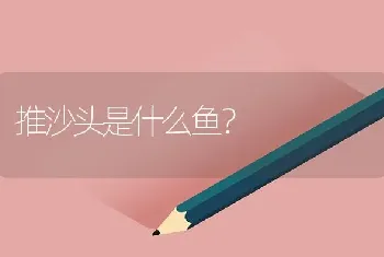 推沙头是什么鱼？