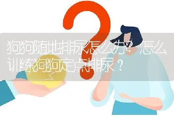 狗狗随地排尿怎么办?怎么训练狗狗定点排尿？