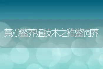 黄沙鳖养殖技术之稚鳖饲养