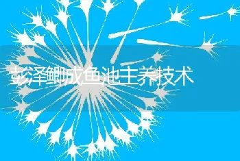 彭泽鲫成鱼池主养技术