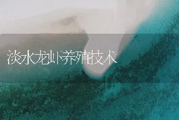 淡水龙虾养殖技术