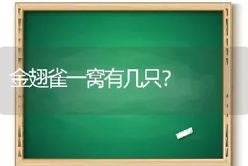 金翅雀一窝有几只？