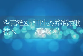 沿黄滩区稻田生态养殖泥鳅技术-泥鳅养殖