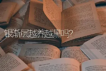 银渐层越养越黑吗？