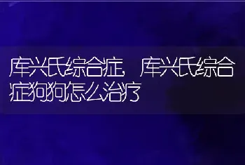 库兴氏综合症，库兴氏综合症狗狗怎么治疗