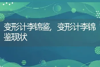 变形计李锦鉴，变形计李锦鉴现状