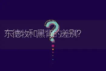 东德牧和黑背的差别？