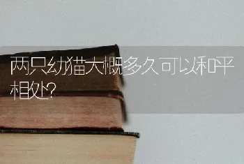 两只幼猫大概多久可以和平相处？