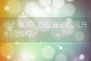 德系黄尾礼服孔雀的起源与系统维持