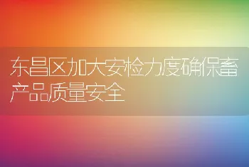 东昌区加大安检力度确保畜产品质量安全