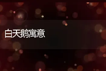 白天鹅寓意