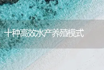 十种高效水产养殖模式