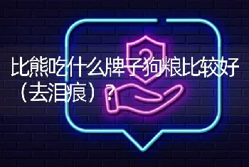 比熊吃什么牌子狗粮比较好（去泪痕）？