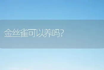 金丝雀可以养吗？