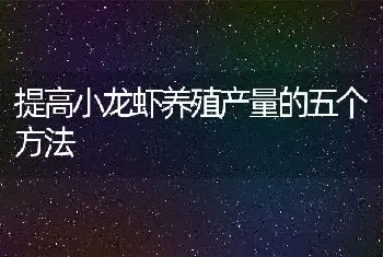 提高小龙虾养殖产量的五个方法