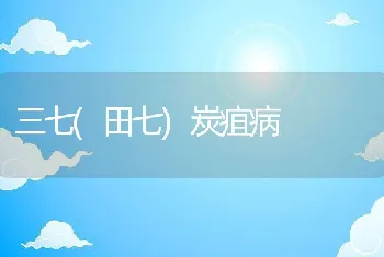 三七(田七)炭疽病