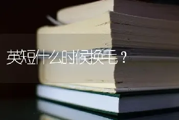 英短什么时候换毛？