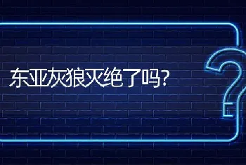 东亚灰狼灭绝了吗？