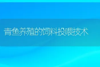 青鱼养殖的饲料投喂技术