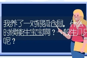 我养了一对银狐仓鼠，什么时候能生宝宝啊？一般生几只呢？