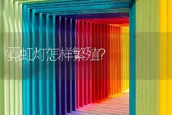 怎么才能知道仓鼠要生了？怎么才能知道仓鼠要？