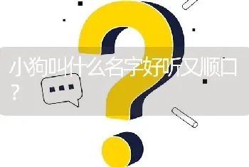 小狗叫什么名字好听又顺口？