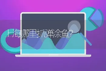 上海哪里抓弹涂鱼？