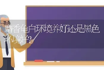 红面泥龟和头盔龟合养吗？