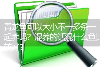 青龙鱼可以大小不一多条一起养吗？混养的话混什么鱼比较好？