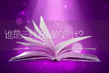 谁是三线仓鼠的后代？