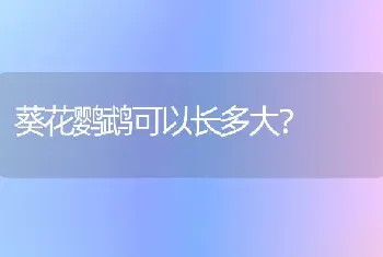 葵花鹦鹉可以长多大？