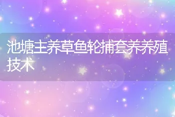 池塘主养草鱼轮捕套养养殖技术