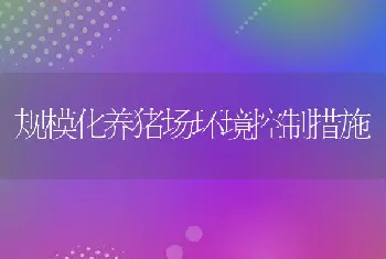 山西神池副县长就加快发展养羊业调研