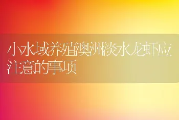 小水域养殖澳洲淡水龙虾应注意的事项