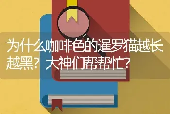 为什么咖啡色的暹罗猫越长越黑？大神们帮帮忙？